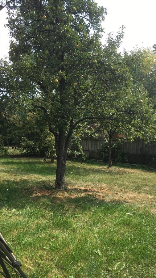 Spectacular 3 Bedroom 2 Wr House - Close To Airport Toronto Exterior foto